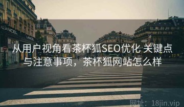 从用户视角看茶杯狐SEO优化 关键点与注意事项，茶杯狐网站怎么样