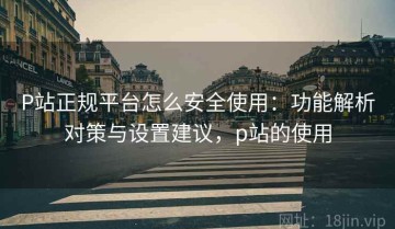 P站正规平台怎么安全使用：功能解析对策与设置建议，p站的使用