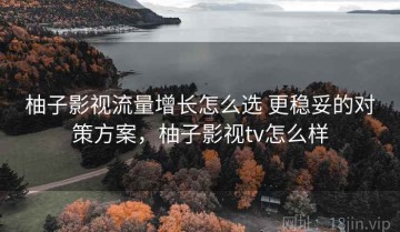 柚子影视流量增长怎么选 更稳妥的对策方案，柚子影视tv怎么样