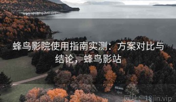 蜂鸟影院使用指南实测：方案对比与结论，蜂鸟影站