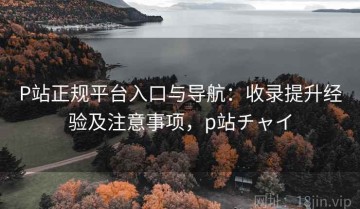 P站正规平台入口与导航：收录提升经验及注意事项，p站チャイ