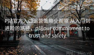 P站官方入口运营策略全观察 从入门到进阶的路径，p站our commitment to trust and safety