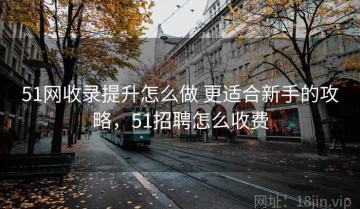 51网收录提升怎么做 更适合新手的攻略，51招聘怎么收费