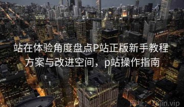 站在体验角度盘点P站正版新手教程 方案与改进空间，p站操作指南