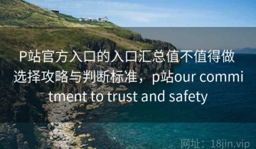 P站官方入口的入口汇总值不值得做 选择攻略与判断标准，p站our commitment to trust and safety
