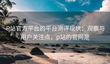 P站官方平台的平台测评现状：观察与用户关注点，p站的官网是
