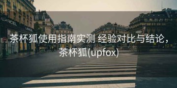 茶杯狐使用指南实测 经验对比与结论，茶杯狐(upfox)