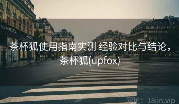 茶杯狐使用指南实测 经验对比与结论，茶杯狐(upfox)