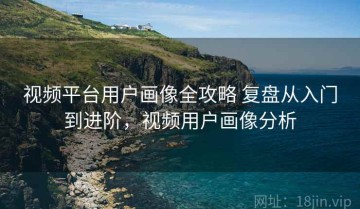 视频平台用户画像全攻略 复盘从入门到进阶，视频用户画像分析