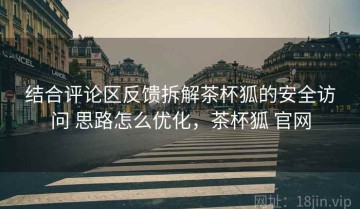 结合评论区反馈拆解茶杯狐的安全访问 思路怎么优化，茶杯狐 官网