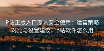 P站正版入口怎么安全使用：运营策略对比与设置建议，p站软件怎么用