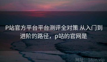 P站官方平台平台测评全对策 从入门到进阶的路径，p站的官网是
