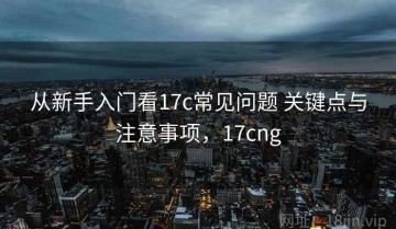 从新手入门看17c常见问题 关键点与注意事项，17cng