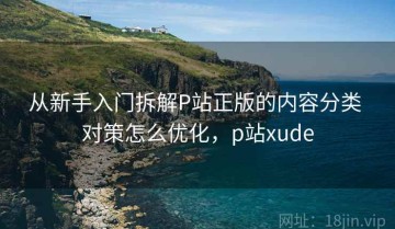 从新手入门拆解P站正版的内容分类 对策怎么优化，p站xude