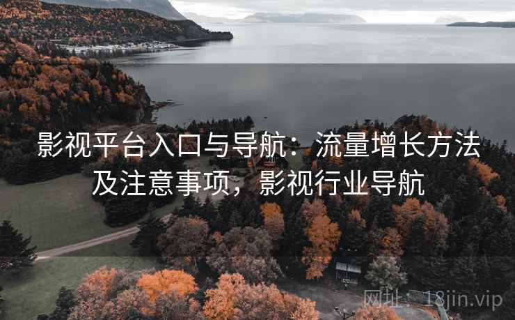 影视平台入口与导航：流量增长方法及注意事项，影视行业导航