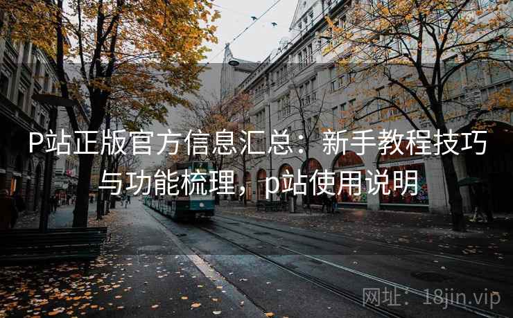 P站正版官方信息汇总：新手教程技巧与功能梳理，p站使用说明