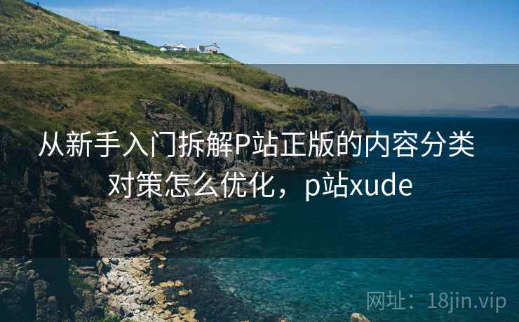 从新手入门拆解P站正版的内容分类 对策怎么优化，p站xude