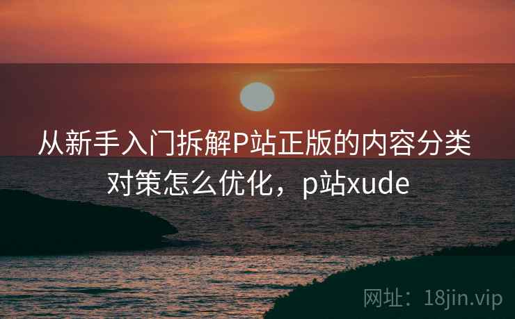 从新手入门拆解P站正版的内容分类 对策怎么优化，p站xude