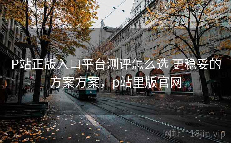 P站正版入口平台测评怎么选 更稳妥的方案方案，p站里版官网
