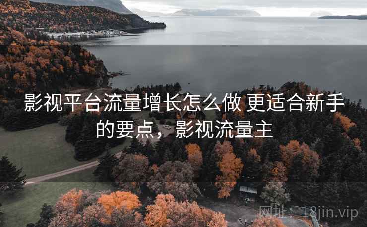 影视平台流量增长怎么做 更适合新手的要点，影视流量主
