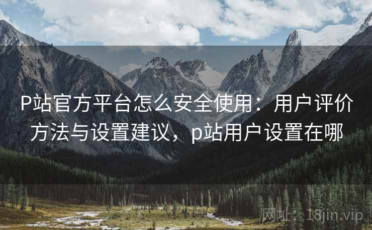 P站官方平台怎么安全使用：用户评价方法与设置建议，p站用户设置在哪