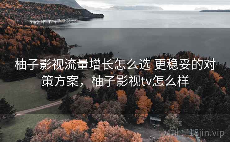 柚子影视流量增长怎么选 更稳妥的对策方案，柚子影视tv怎么样