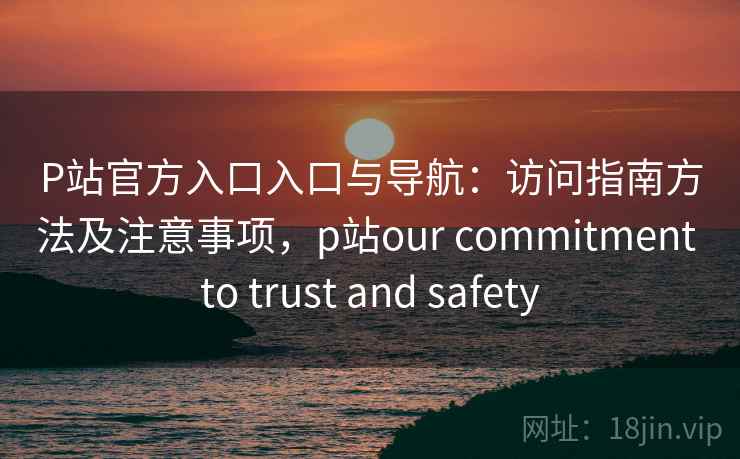 P站官方入口入口与导航：访问指南方法及注意事项，p站our commitment to trust and safety