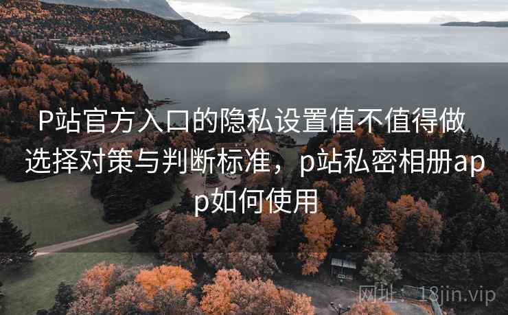 P站官方入口的隐私设置值不值得做 选择对策与判断标准，p站私密相册app如何使用