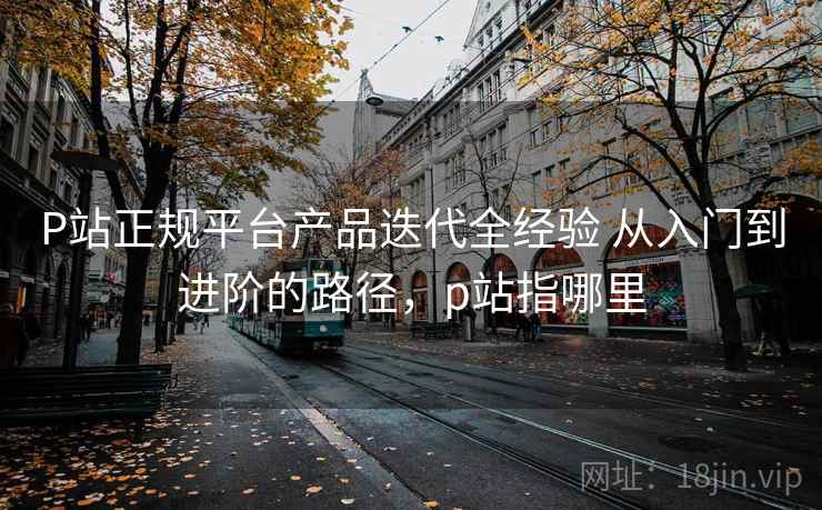 P站正规平台产品迭代全经验 从入门到进阶的路径，p站指哪里