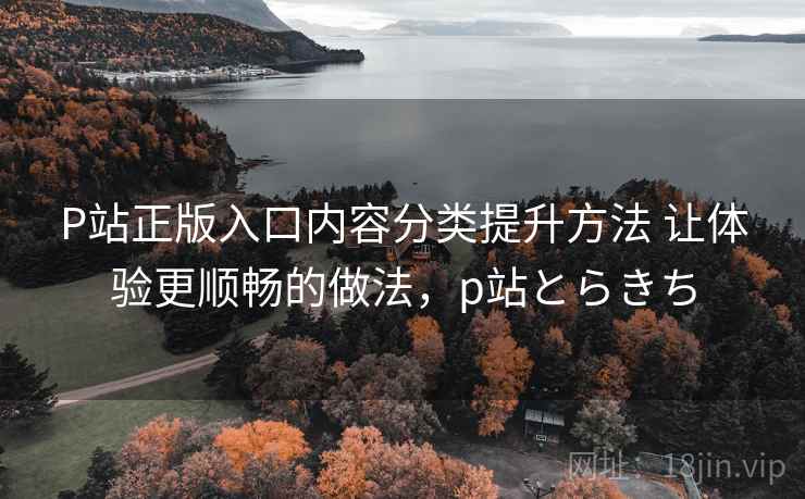 P站正版入口内容分类提升方法 让体验更顺畅的做法，p站とらきち