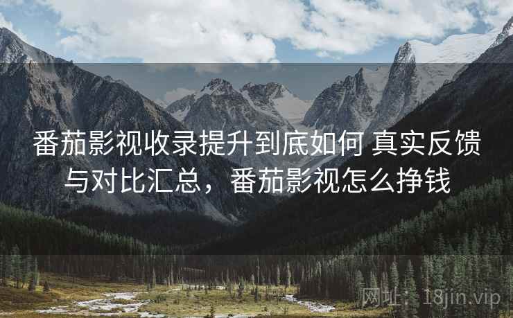 番茄影视收录提升到底如何 真实反馈与对比汇总，番茄影视怎么挣钱