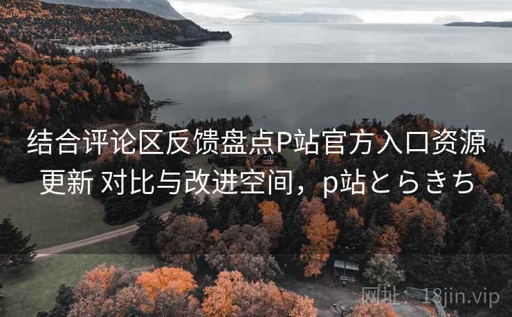 结合评论区反馈盘点P站官方入口资源更新 对比与改进空间，p站とらきち