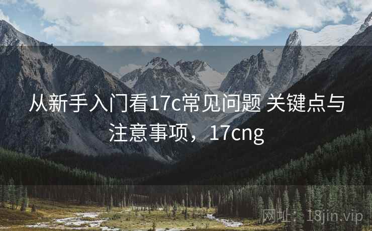 从新手入门看17c常见问题 关键点与注意事项，17cng
