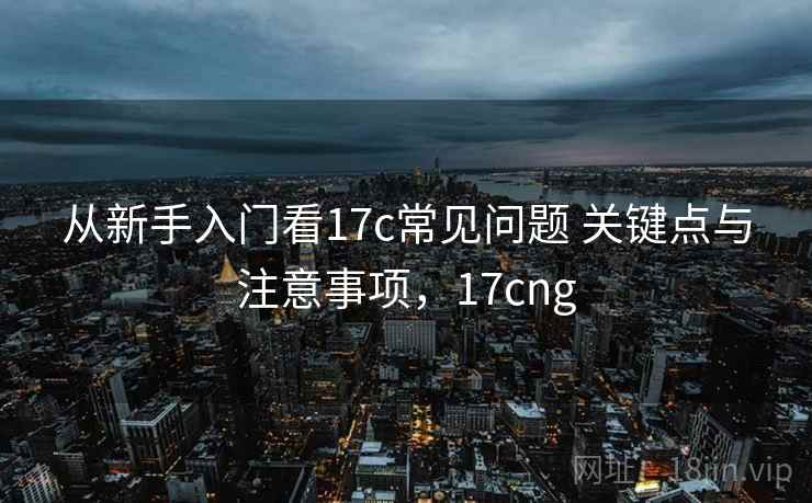 从新手入门看17c常见问题 关键点与注意事项，17cng