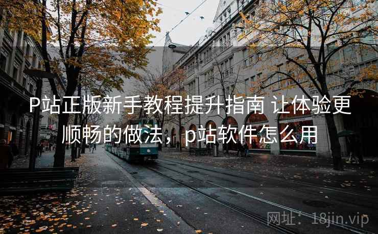 P站正版新手教程提升指南 让体验更顺畅的做法，p站软件怎么用