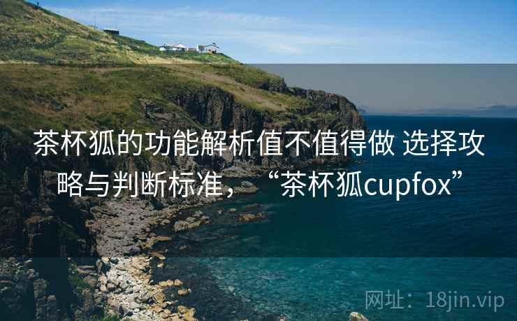 茶杯狐的功能解析值不值得做 选择攻略与判断标准，“茶杯狐cupfox”