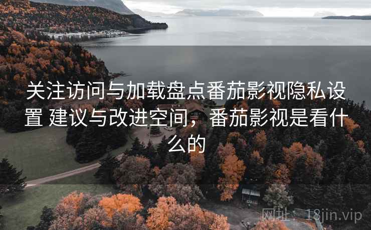 关注访问与加载盘点番茄影视隐私设置 建议与改进空间，番茄影视是看什么的