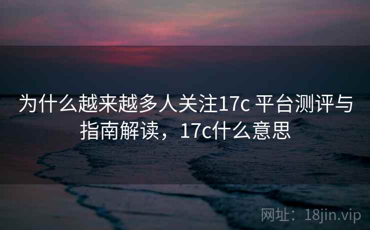 为什么越来越多人关注17c 平台测评与指南解读，17c什么意思